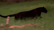 315cf0141032966.jpg