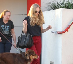 Amanda Seyfried アマンダ・セイフライド