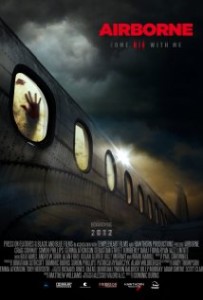 Download Airborne (2012) DVDRip 300MB Ganool